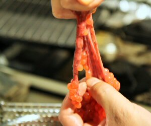 いくらの作り方